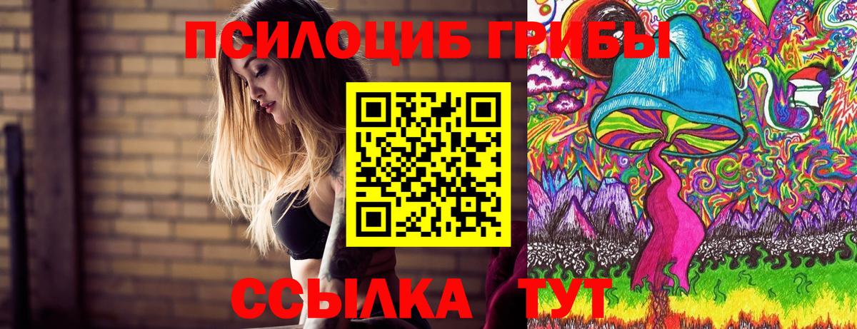Галлюциногенные грибы Cubensis Похвистнево