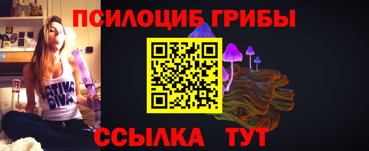 Псилоцибиновые грибы мухоморы  Вход с VPN  Галлюциногенные грибы Psilocybe  Похвистнево 